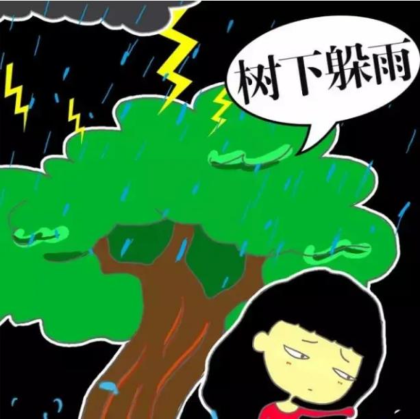 随着树木的逐年长高,很多树木的树冠已经被电线包围,且电线经过长时间