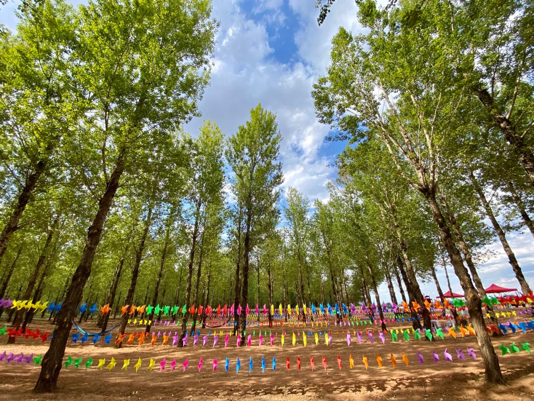 生活和绿色生态农场以家庭土地认养和亲子互动为特色就可以实现你所