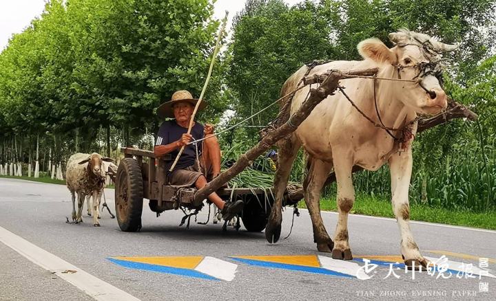 牛车表情包图片