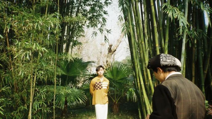 澎湃新闻 专注时政与思想 thepaper.cn