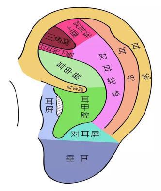 【學會分享】榮肺保健操,一起開啟健康之旅