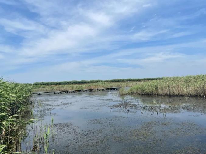 探索东滩国家级自然保护区科普教育基地改造升级完成