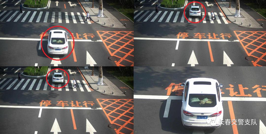 人民大街-清华路 徐洋 吉af51w7 人行道不停车让行