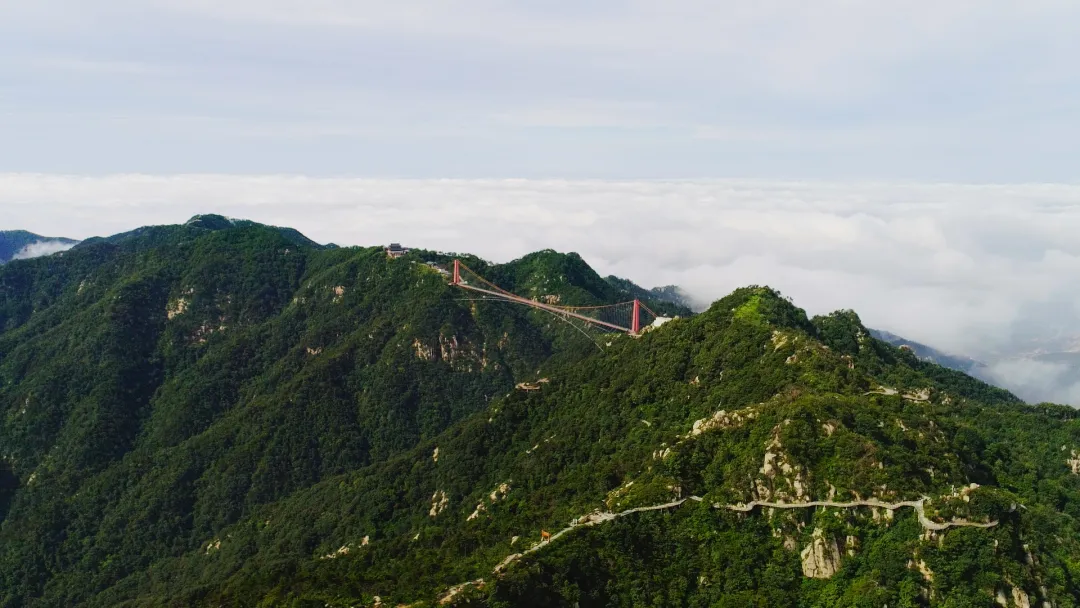 雨后天蒙再现云海奇观丨置身天蒙山顶,宛若人间仙境