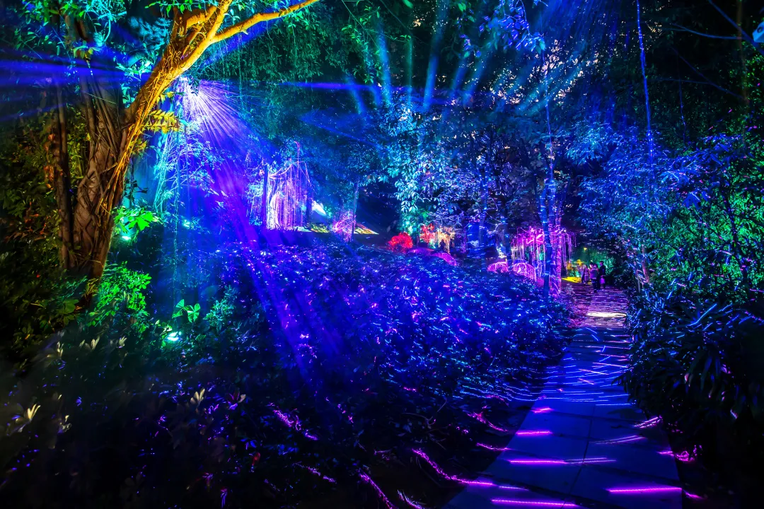 让大家在这个梦幻的夜光森林中 感受到前所未有的夜游体验