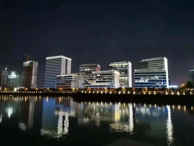 闵行这座湖畔,白天是花海,夜晚灯光秀,一天玩不够!