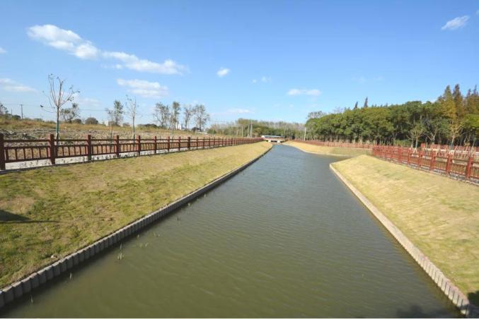 白洋滩,荷花浜,樱桃河…闵行这些河道同它们名字一样美,晚饭后来散