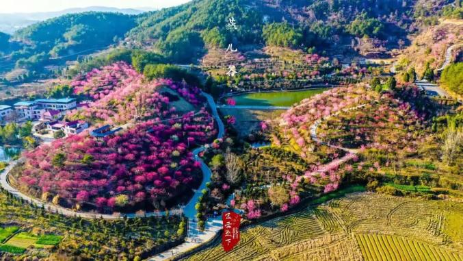 祝贺浠水三角山入选黄冈市十佳网红景点