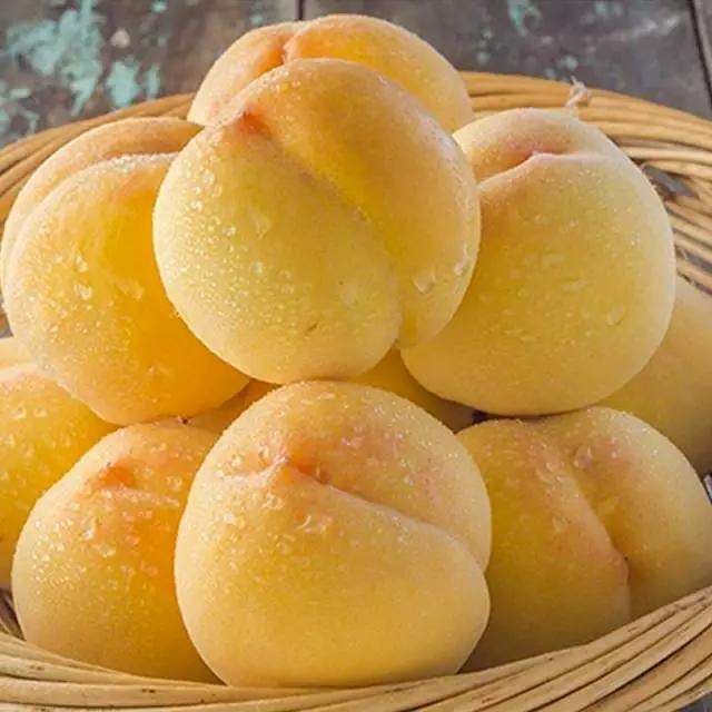 崇明好水果这些公园就有卖