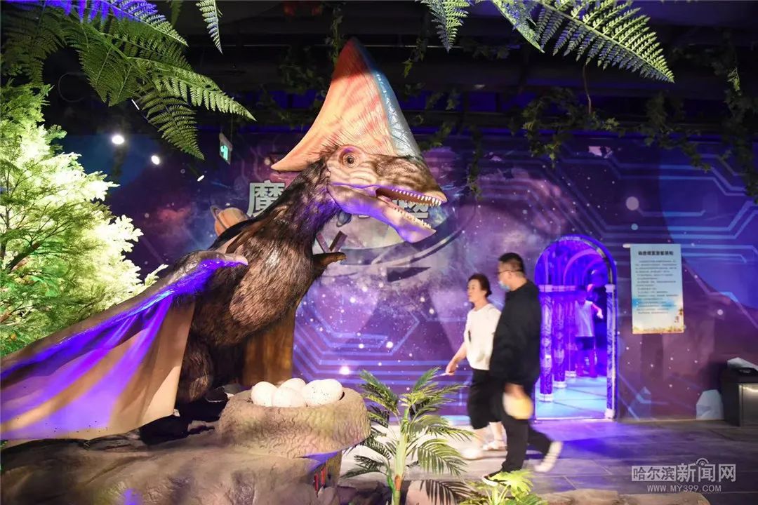 哈尔滨恐龙乐园图片