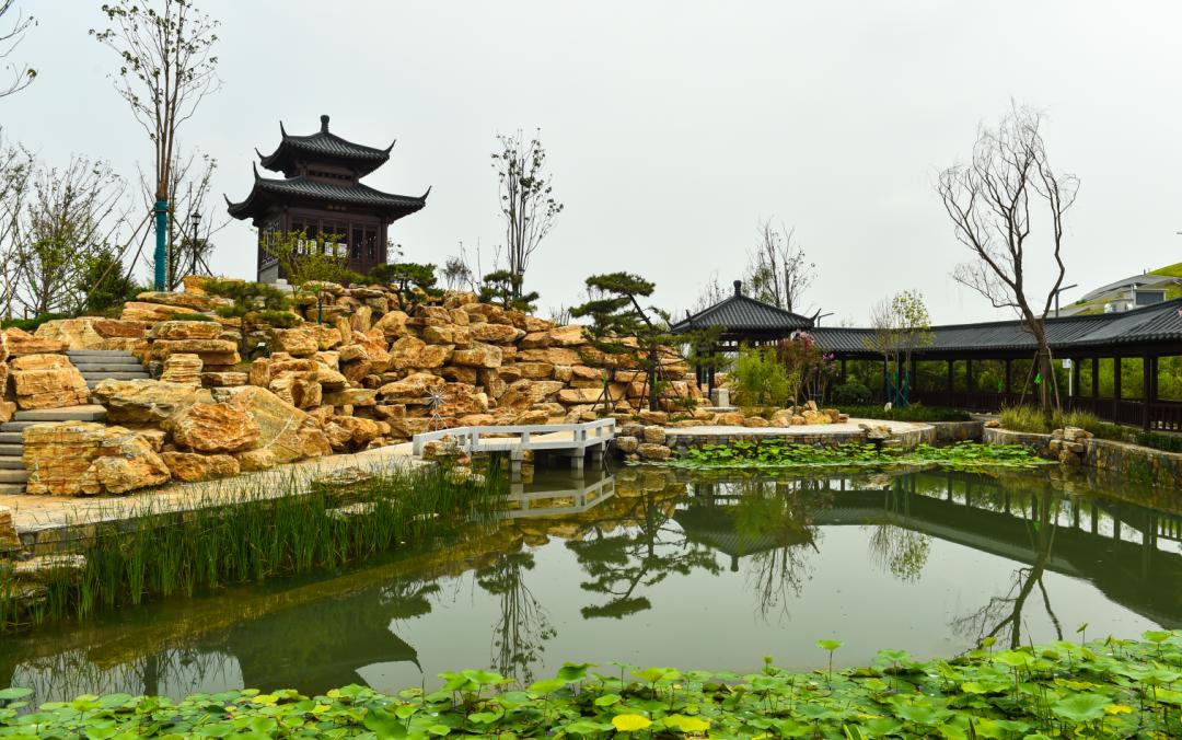 滁州金虹岭生态园图片
