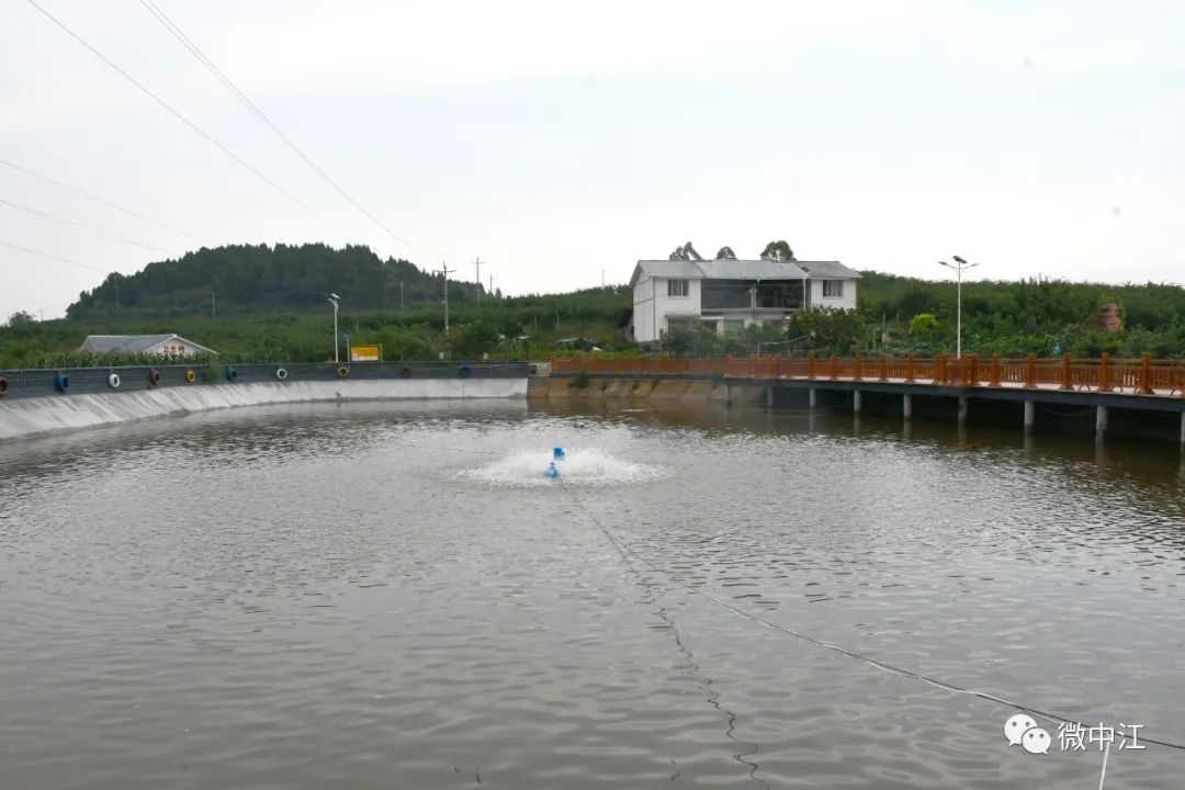 7月14日上午,在中江县富兴镇富强村的堰塘边,失足落水被营救上岸的