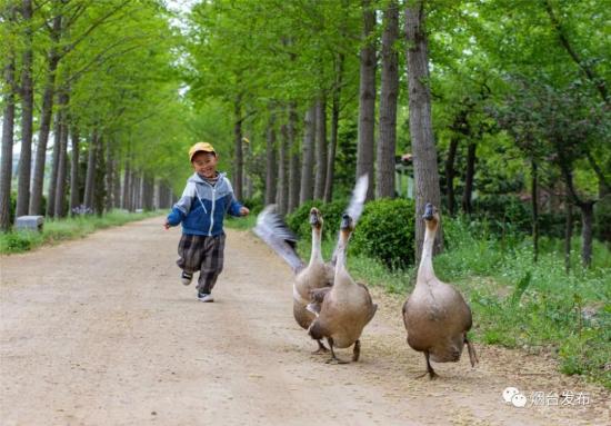 看,摄影师眼里的烟台四季!②