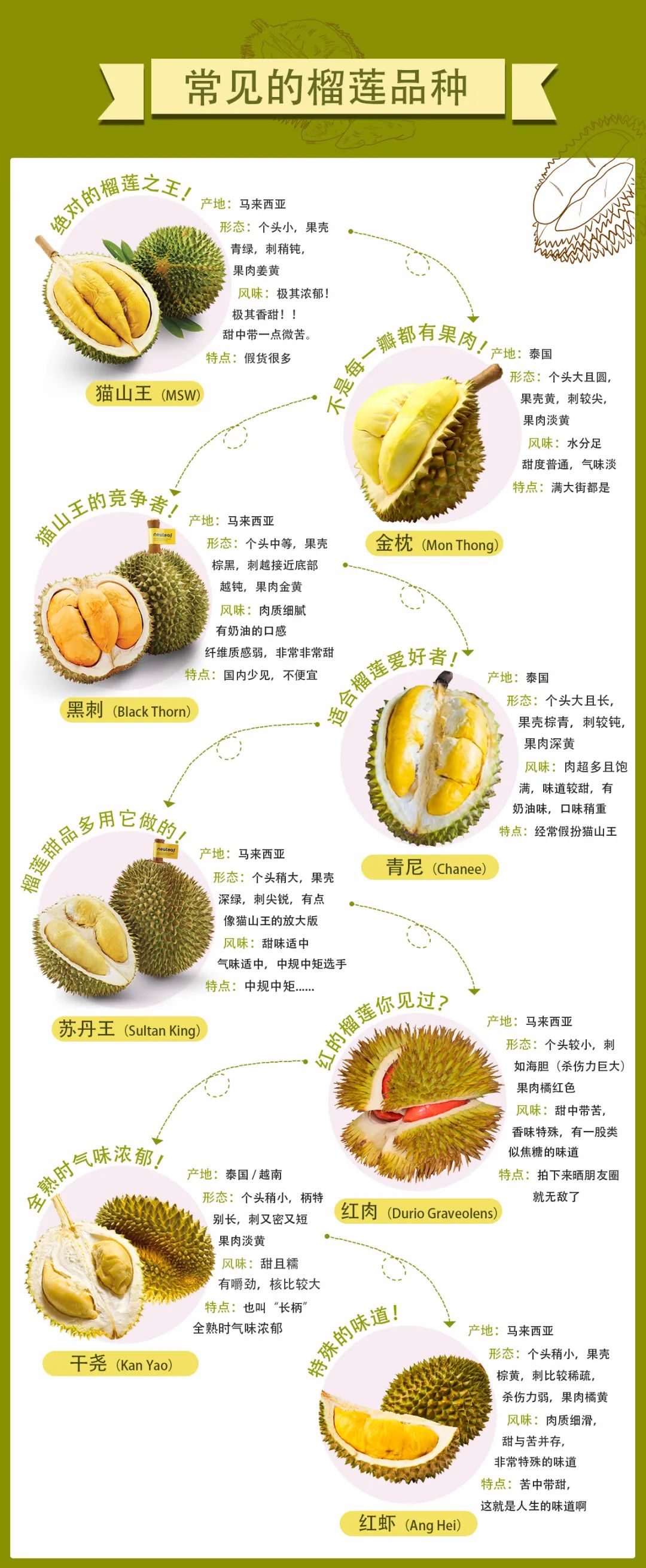 榴莲不一定是最贵的水果但一定是最好玩的水果