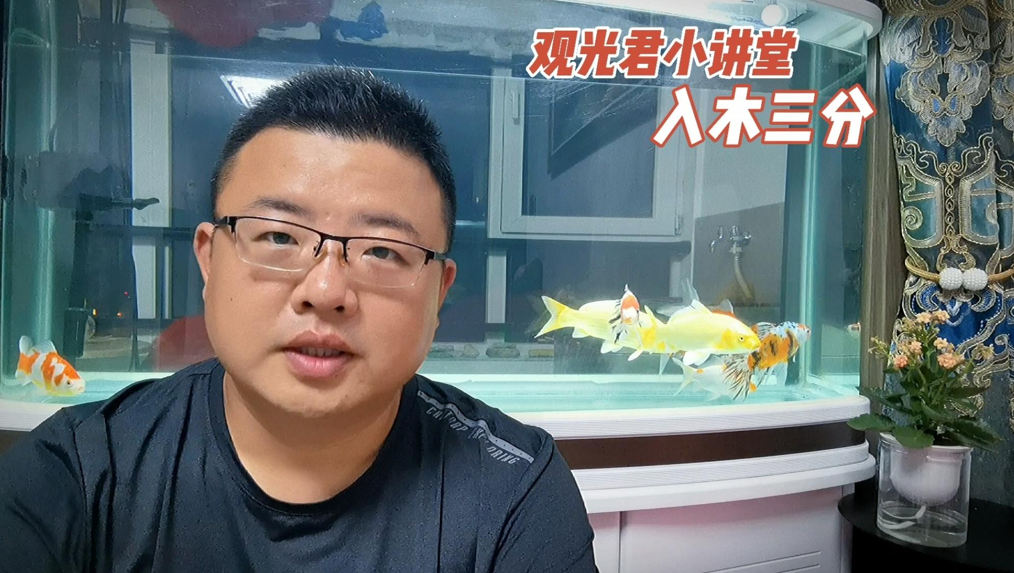 觀光君小講堂之成語“入木三分”的故事