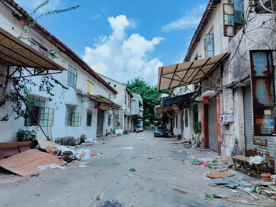 走进张槎街道大富北工业园一期,3栋11层崭新的现代化工业厂房矗立在