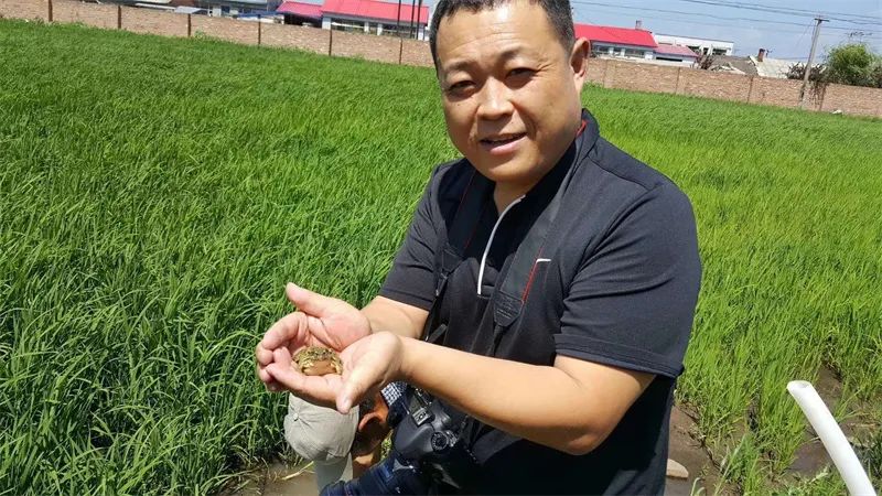 【双鸭山好网民】刘子龙:“互联网+”带动百姓脱贫致富