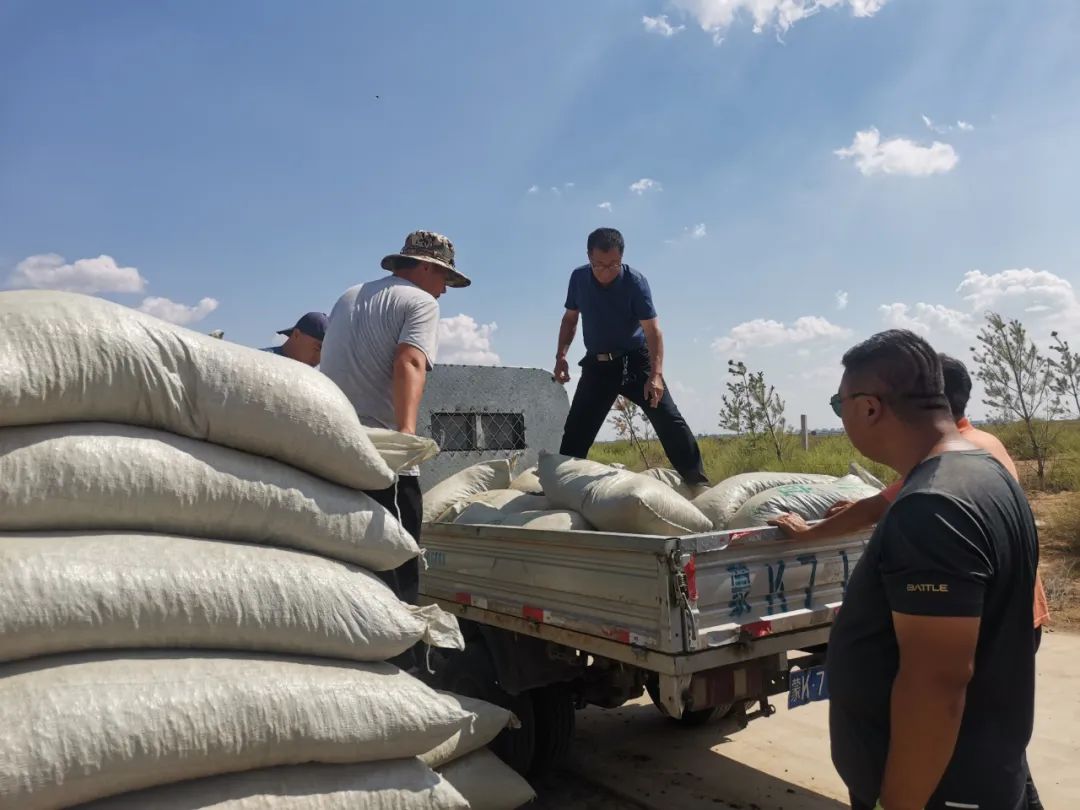 我为群众办实事抗旱饲草料解民忧