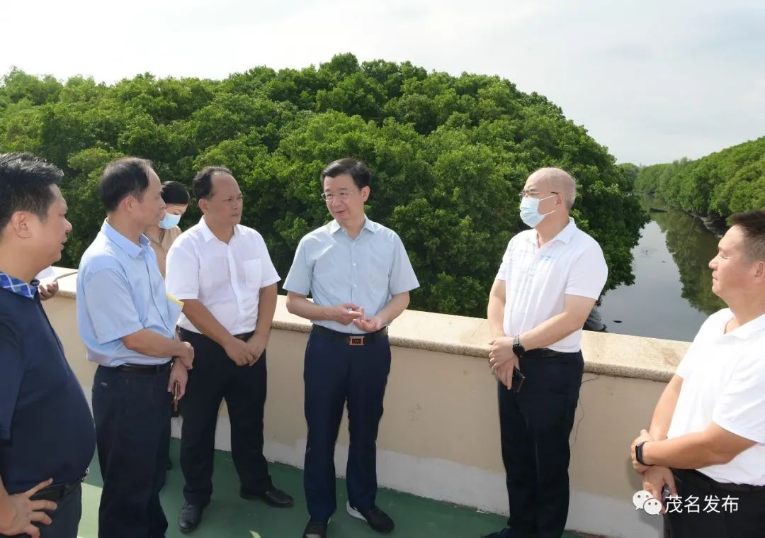 庄悦群到电白区,水东湾新城调研环保督察整改情况:以最坚决的态度抓好