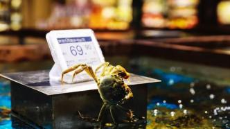 “局外人”京東七鮮