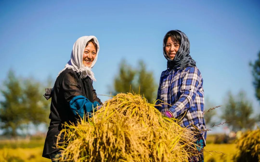老乡笑脸映照冰城小康画卷