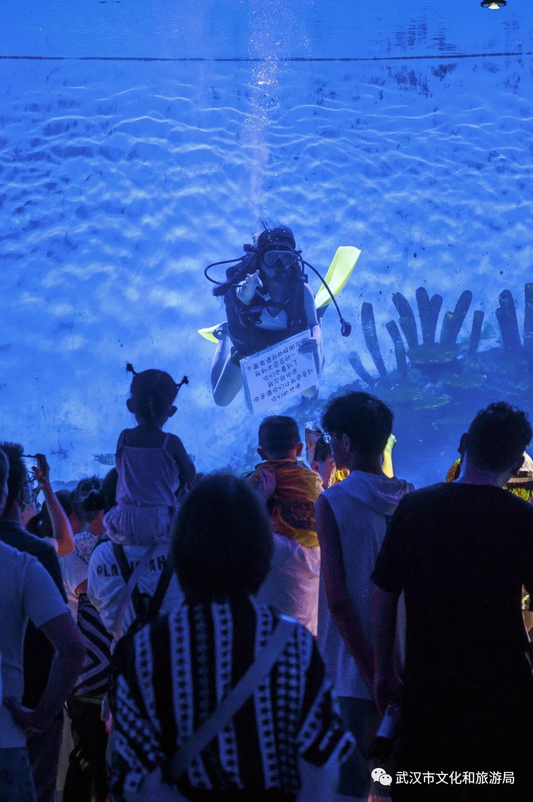 魔术儿童剧海底两万里梦幻隧道的《海底魔法师》水下魔术,潜泳在水