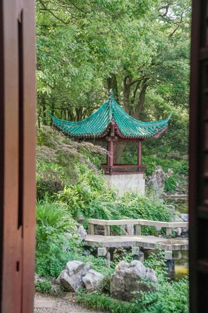 巡城记苍柏园里倾听救国利民的百年理想