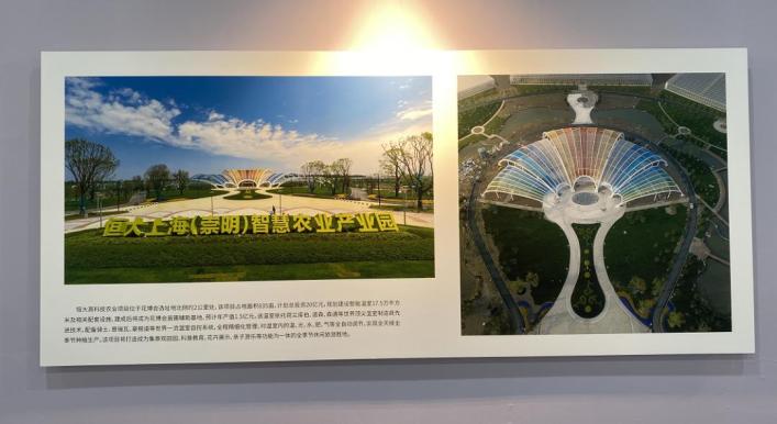 浙江最大花卉市场在哪里