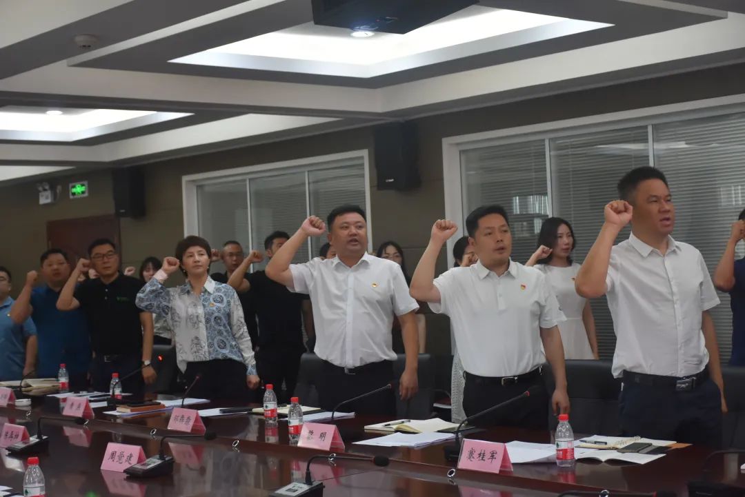 学党史,悟思想,办实事,开新局 马栏山视频文创园机关党支部召开专题