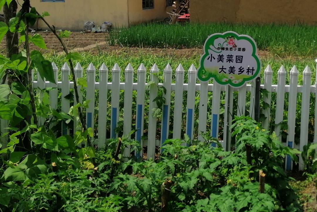 加快建设巾帼生态小菜园为全省旅发大会助力添彩