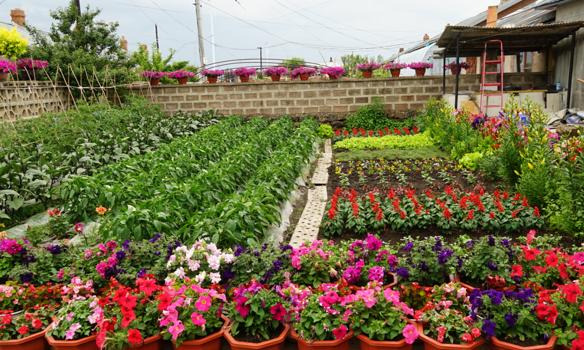 加快建设巾帼生态小菜园为全省旅发大会助力添彩