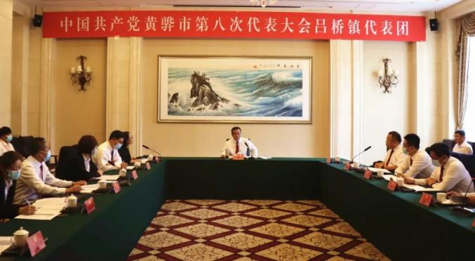 毕汝卫参加吕桥镇代表团讨论