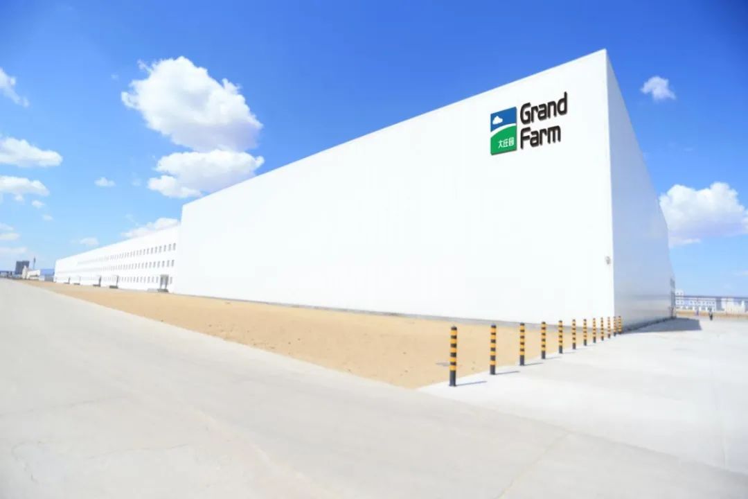 我省大庄园集团被中国肉类协会授予"生态羊屠宰加工示范企业"称号