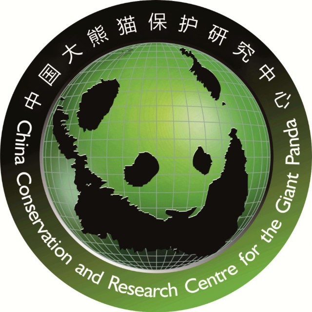 2只大熊猫同日诞下双胞胎,怎么取名呢?