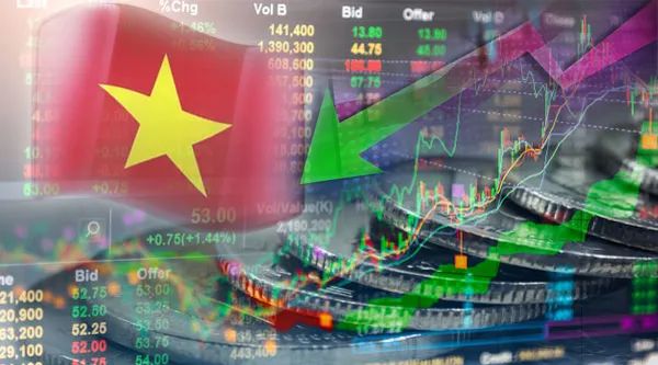 如何选择股票 最牛股市惨遭 血洗 散户被无情 收割 外资提 网上股票配资 证券配资开户服务平台 在线炒股基金配资公司 在线股票配资平台