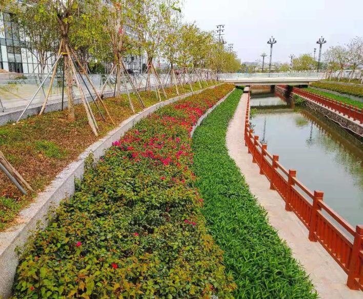 打造老旧小区微改造标杆鹤园小区五眼桥沙面岛大坦沙岛都将变成