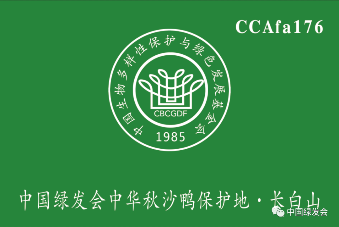 绿会保护地添新成员 Ccafa176 绿会中华秋沙鸭保护地 长白山