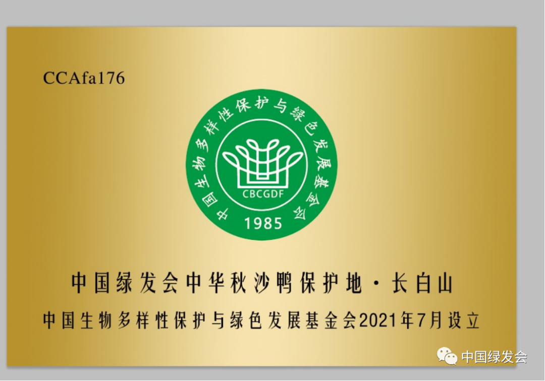 绿会保护地添新成员 Ccafa176 绿会中华秋沙鸭保护地 长白山