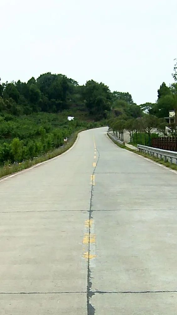 我为群众办实事丨建好产业路解锁同安街道红旗村的幸福密码