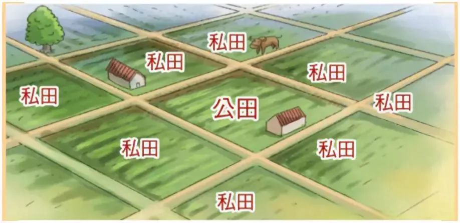 历史的谣言:王莽改制无任何现代色彩,所谓穿越只是恐怖闹剧