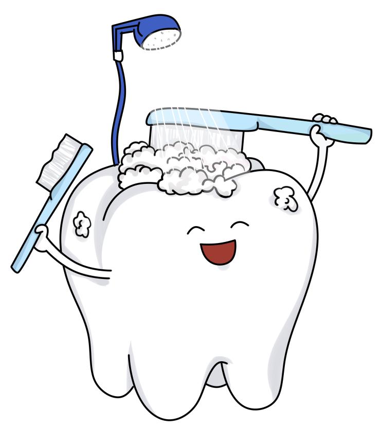 老年健康宣传周老年口腔保健八步走