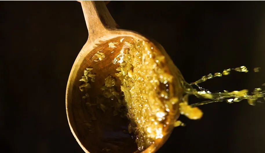 遇见非遗丨千古流芳郫筒酒