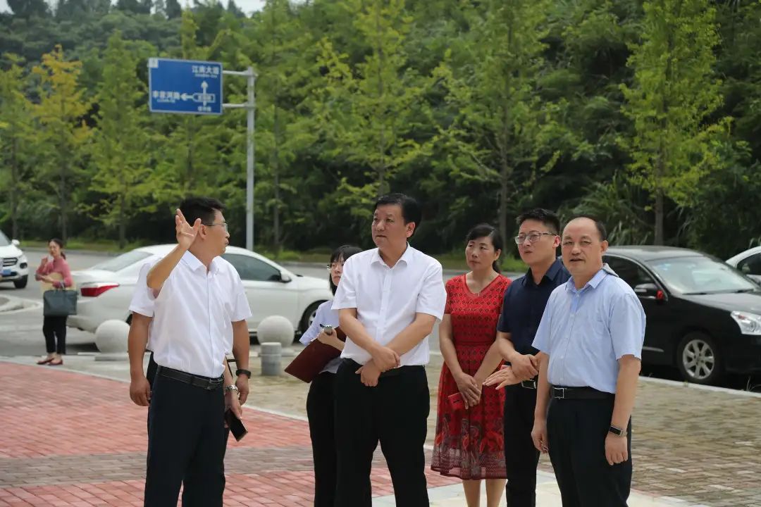 万红在点军街办联棚乡调研时强调把握发展主动权抓好重大项目建设以忆