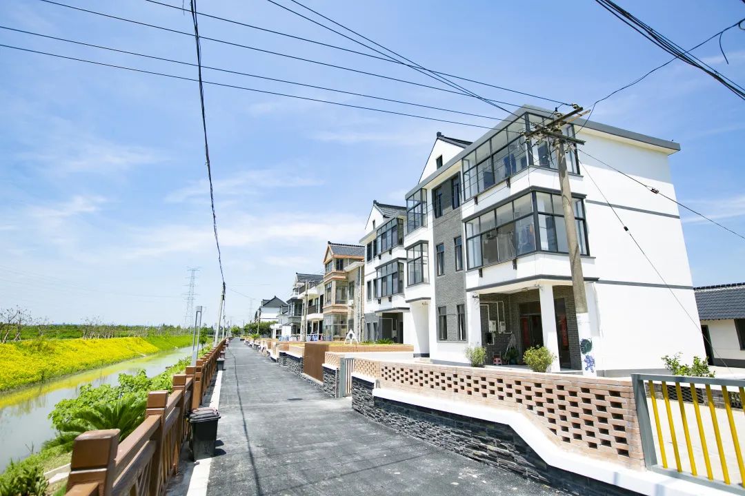 香远益清芳韵南胜一同来感受柘林镇南胜村的别样魅力