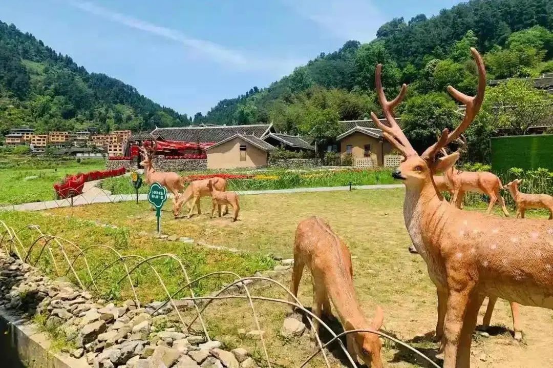 乡游黔中│在牙溪村归园田居这个宝藏民宿地让你的周末更精致