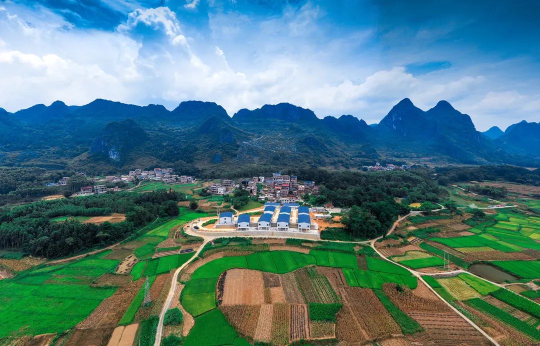 走进乡村看小康忻城古蓬科技赋能蚕农增收