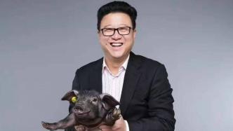 让“猪场”名副其实的网易味央，是如何玩转“互联网+养猪”的？