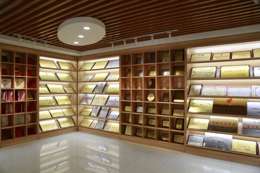 学党史 办实事 | 一枚"土鸭蛋" 致富路上的"金蛋蛋"