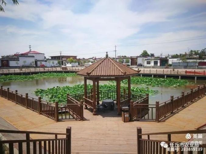 来源:任丘市农业局原标题:《#我的小幸福# |大美任丘好村庄——石门桥