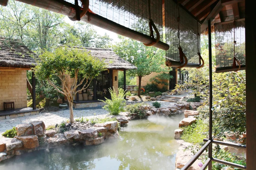 好去处古风悠韵好避暑没想到嘉定藏着这么多高颜值茶馆